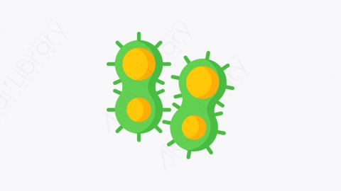 图片素材-005_细菌_bacteria