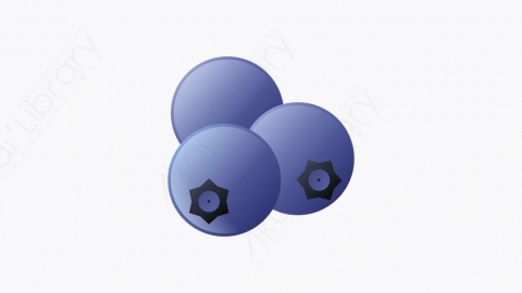 图片素材-006_蓝莓_blueberry