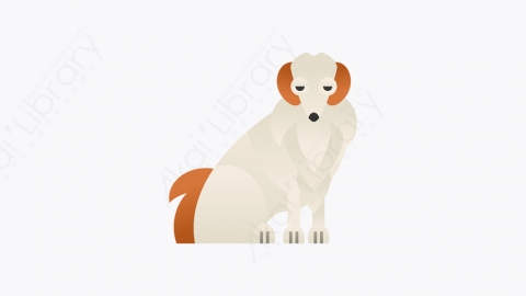 图片素材-006_猎狼_borzoi