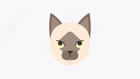 图片素材-006_缅甸猫_burmese_cat