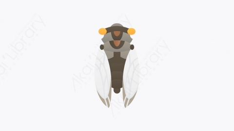 图片素材-006_蝉_cicada