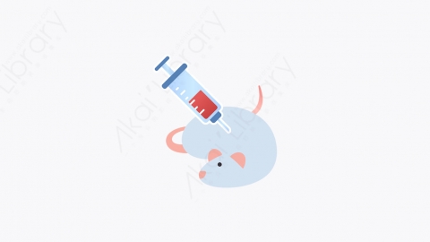 图片素材-006_豚鼠_guinea_pig