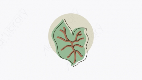 图片素材-006_叶子_leaf