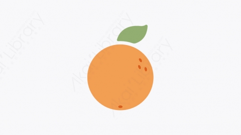 图片素材-006_橙子_orange