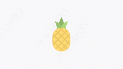 图片素材-006_菠萝_pineapple