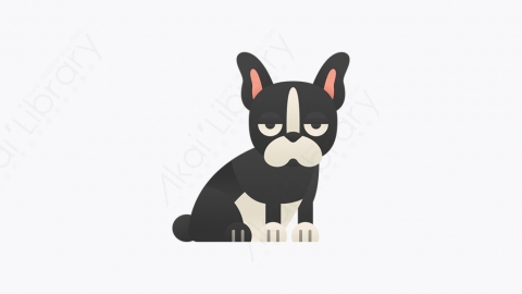 图片素材-007_波士顿梗_boston_terrier