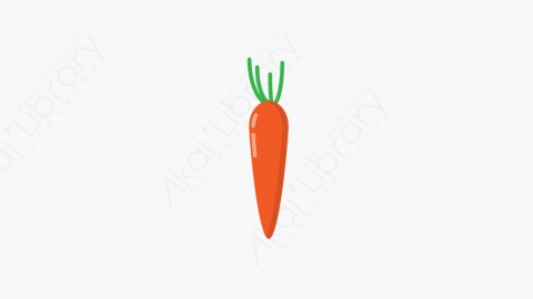 图片素材-007_胡萝卜_carrot