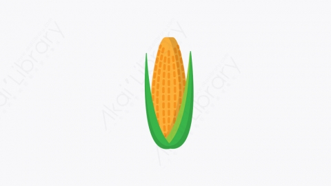 图片素材-008_玉米_corn