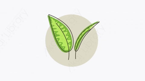 图片素材-008_叶子_leaf