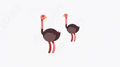 图片素材-008_鸵鸟_ostrich