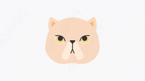 图片素材-008_短毛猫_shorthair_cat