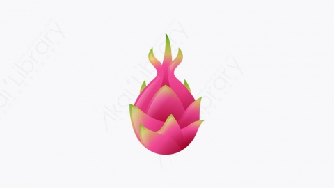 图片素材-009_火龙果_dragon_fruit