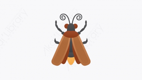 图片素材-009_萤火虫_firefly