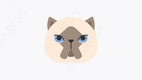 图片素材-009_喜马拉雅猫_himalayan_cat