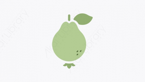图片素材-010_番石榴_guava