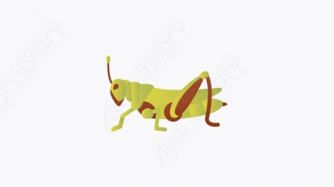 图片素材-011_蚱蜢_grasshopper