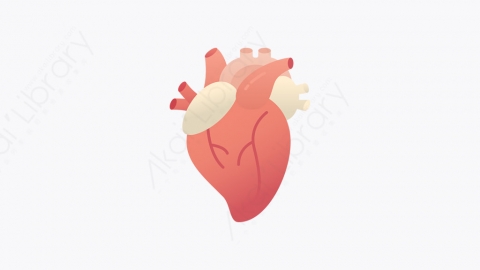 图片素材-011_心脏_heart