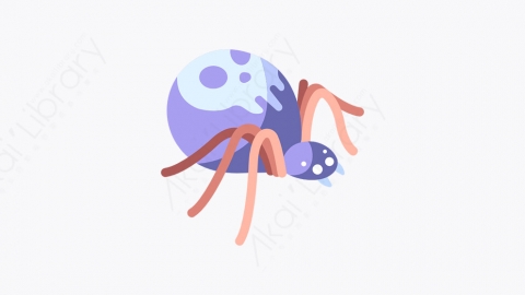图片素材-011_蜘蛛_spider