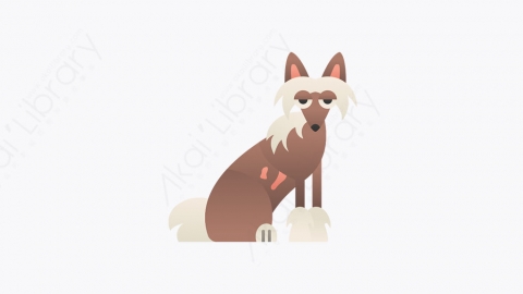 图片素材-012_凤头莲_chinese_crested
