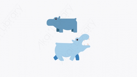 图片素材-012_河马_hippopotamus