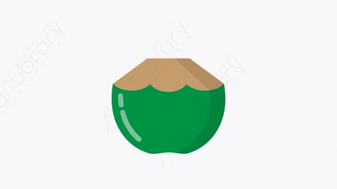 图片素材-013_椰子_coconut