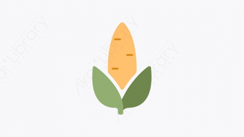 图片素材-013_玉米_corn