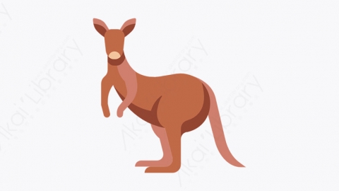 图片素材-013_袋鼠_kangaroo