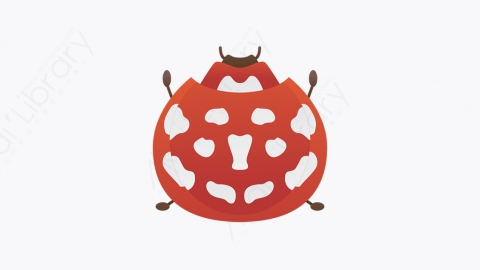 图片素材-013_瓢虫_ladybug