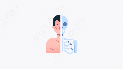 图片素材-014_解剖_anatomy