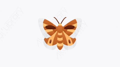 图片素材-014_蝴蝶_butterfly
