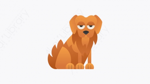 图片素材-014_金毛猎犬_golden_retriever