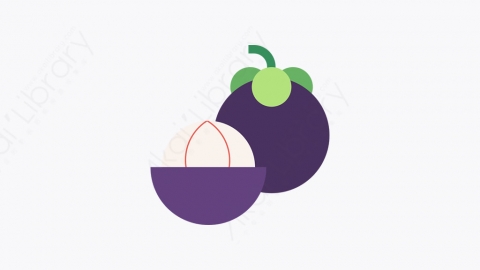 图片素材-014_山竹_mangosteen