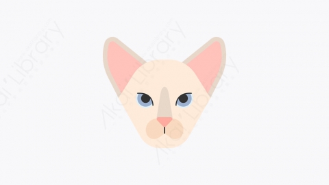 图片素材-014_东方猫_oriental_cat