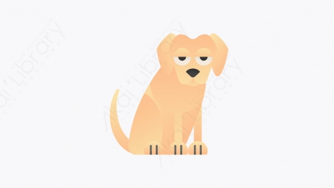 图片素材-015_拉布拉多犬_labrador