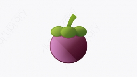 图片素材-015_山竹_mangosteen