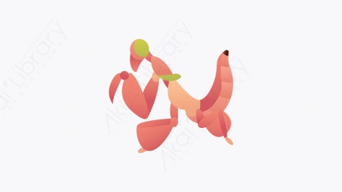 图片素材-015_螳螂_mantis