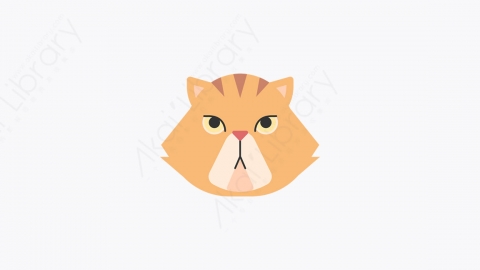 图片素材-015_波斯猫_persian_cat