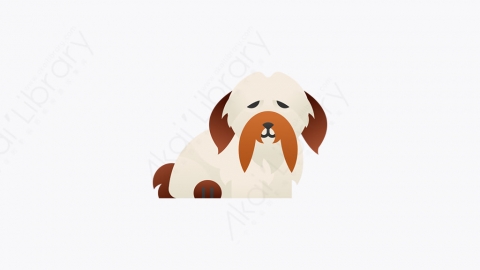 图片素材-016_哈瓦那比丘_havanese_bichon