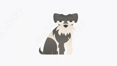 图片素材-016_迷你雪纳瑞_miniature_schnauzer