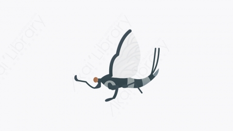 图片素材-017_昆虫_insect