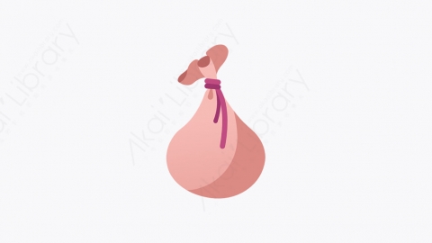 图片素材-017_钱袋_money_bag