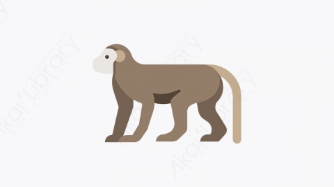 图片素材-017_猴子_monkey