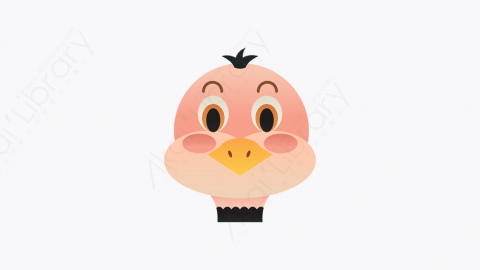 图片素材-017_鸵鸟_ostrich