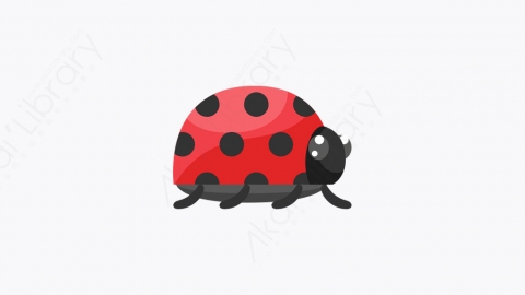 图片素材-018_瓢虫_ladybug