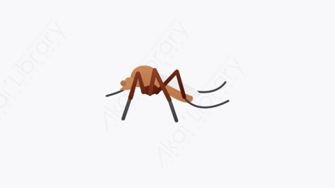 图片素材-018_蚊子_mosquito