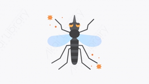 图片素材-018_蚊子_mosquito