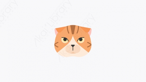 图片素材-018_苏格兰折叠猫_scottish_fold_cat