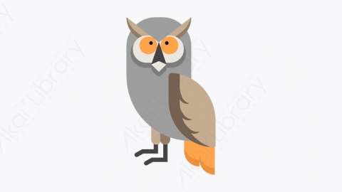 图片素材-019_猫头鹰_owl