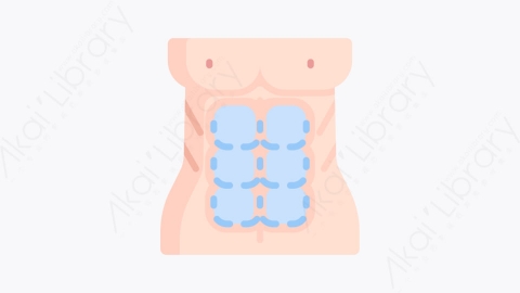 图片素材-020腹部 abdominalsMG卡通整形外科元素图标