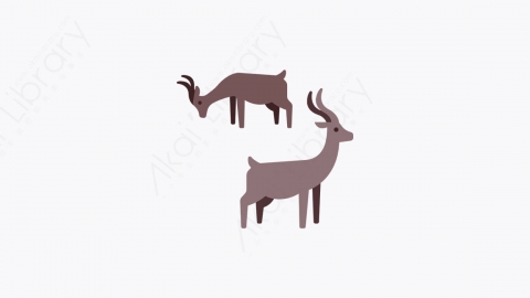 图片素材-020_羚羊_antelope